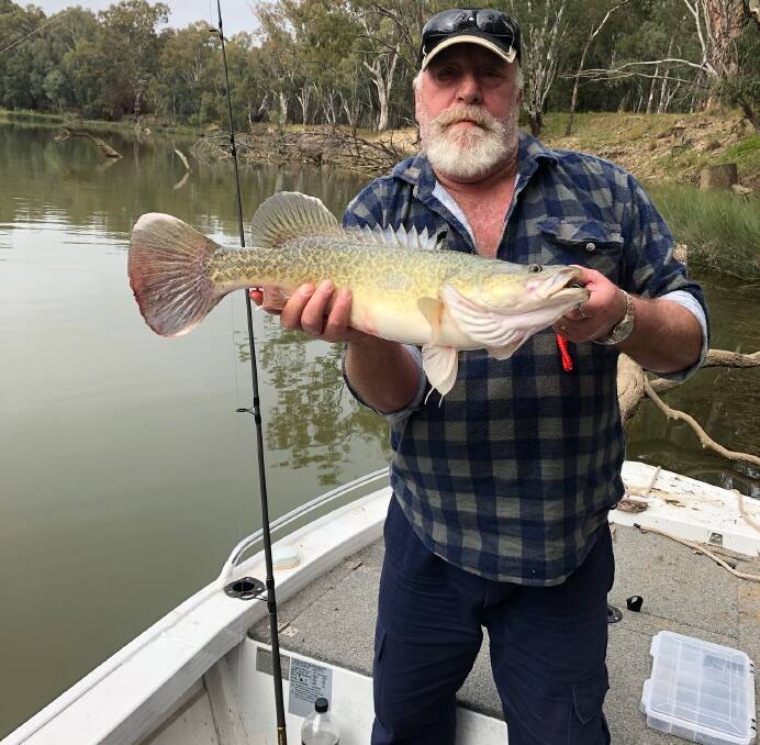 Here's the proof: Laurie Owens from Oak Flats fished the Murray River at Leeton for this sensational 58cm Murray cod.