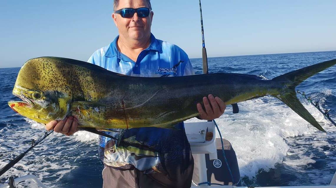 Well hello Dolly: Mark Coles caught this bull dolly instead of a marlin – an excellent capture.