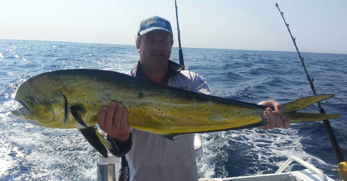 Nice surprise: Peter McDonald was very surprised to land this 12 kilo dolly last weekend while tuna trolling.
