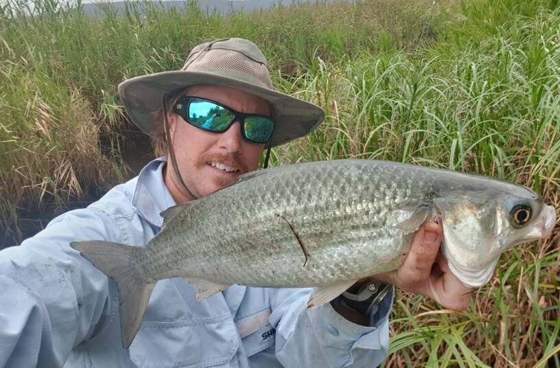 Fighter: Mark Pascot from Mt Warrigal with a fly caught mullet that gave him a real workout. (Send your fishing pics to gazwade@bigpond.com)