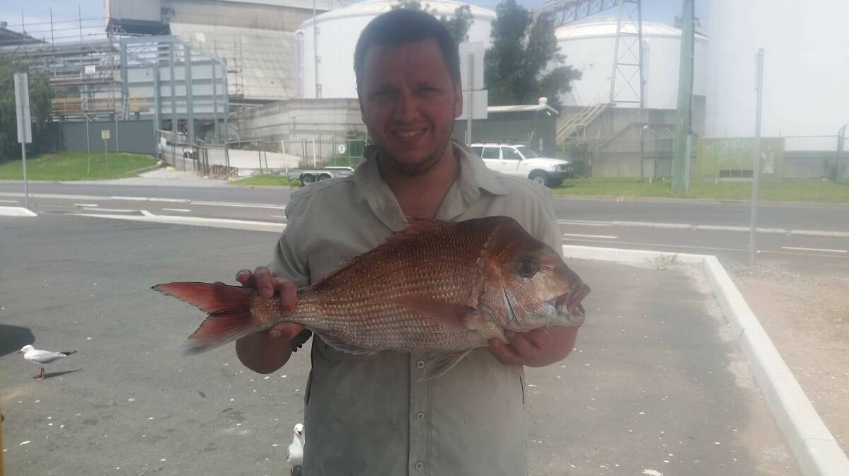 Snapper time: Aaron Vekar found the reds biting off Port Kembla.
