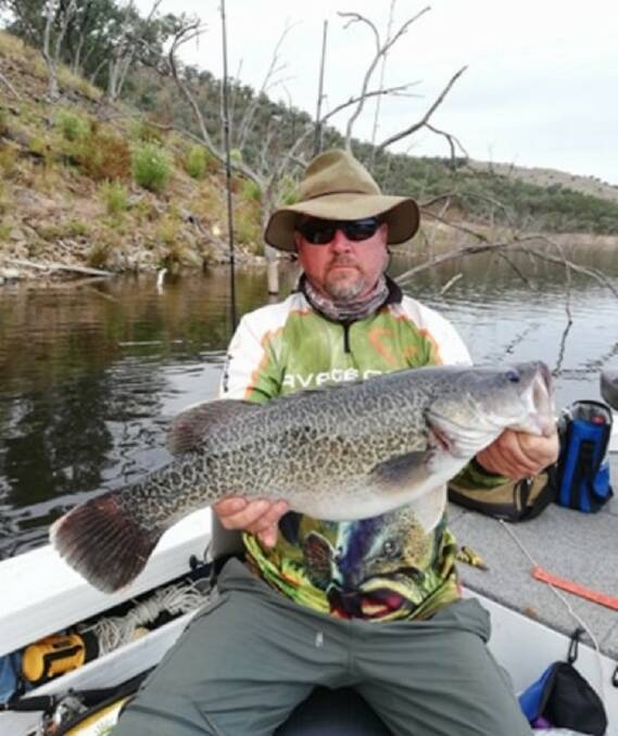 Lives to fight another day: Dave Classon with another catch-and-release Murray cod from Wyangla Dam.