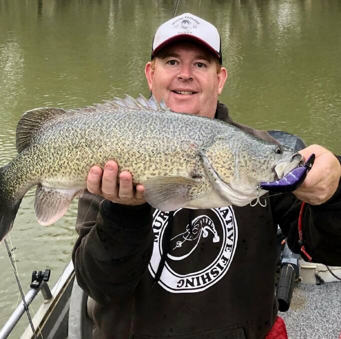 Rhys Westcott with an excellent murray cod he later released.
