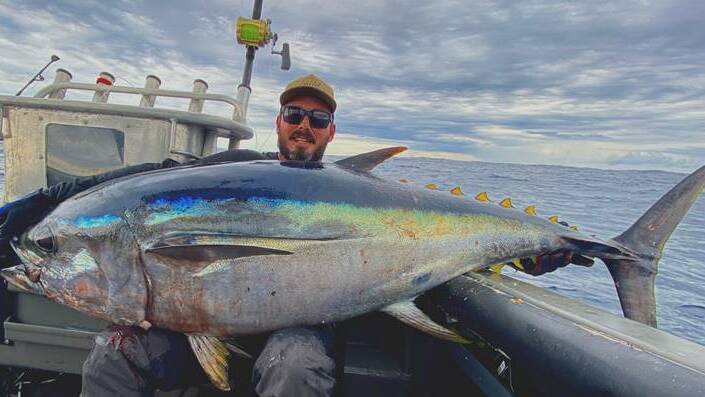 Sea monsters herald looming tuna season, Illawarra Mercury