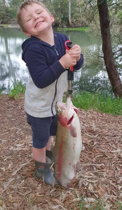Great catch!: Four-year-old Dylan Lindores struggles to hold up his bait-caught 9.5 pound (4.3kg) rainbow trout from the Goulburn River.