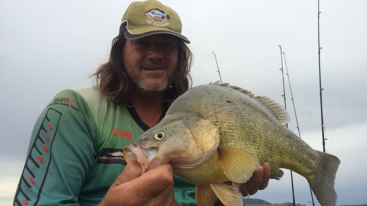 Freshwater beauty: Grant Evans fished again at Lake Windamere for a bag of yellowbelly perch.