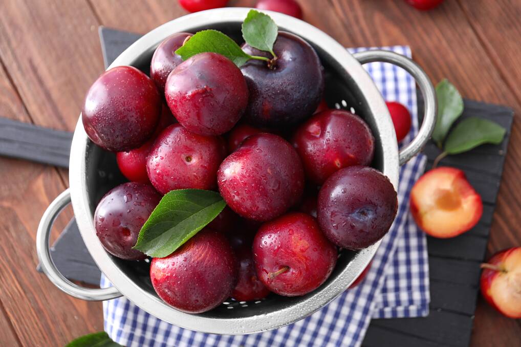 Everyone loves a ripe, juicy plum.