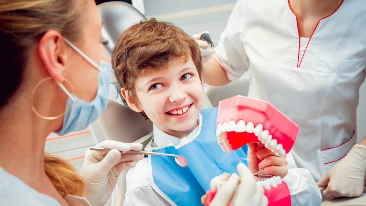 Fears Illawarra primary school kids may miss out on free dental: MP
