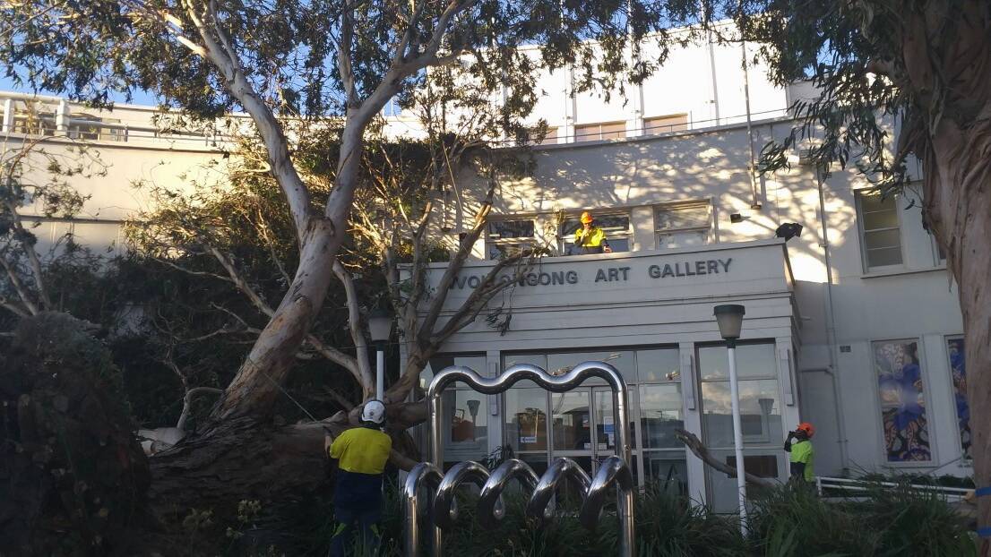 Damage to Wollongong Art Gallery after strong winds bring down large tree