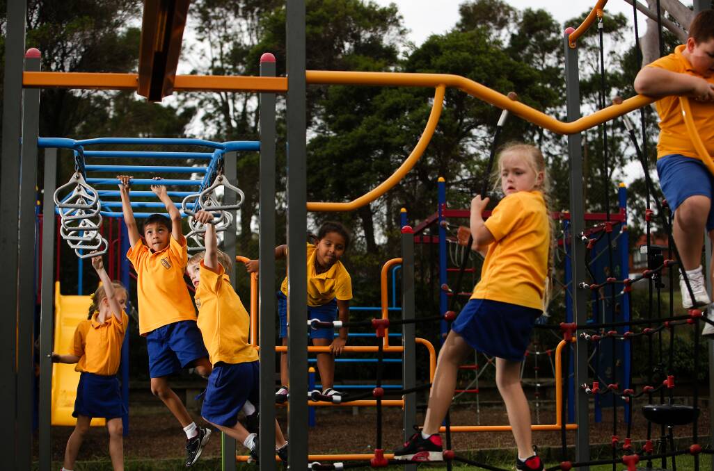PUBLIC ACCESS: Lake Heights Public School is one of the eight Illawarra schools which will be open to the public during the summer holidays. Picture: Adam McLean