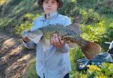 GREAT CATCH: Young Benjamin Hobday with a beautifully-marked iconic Murray cod that he released.