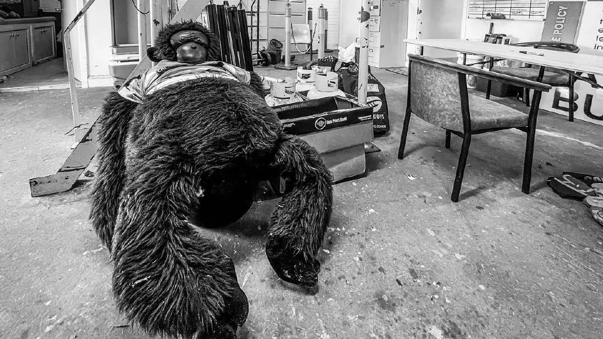 NOT HAPPY: Even Gorilla, Warilla's mascot isn't happy with the club's "atrocious" clubhouse. Picture: Adam McLean