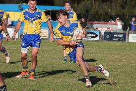 Warilla and Shellharbour only unbeaten teams after round eight triumphs