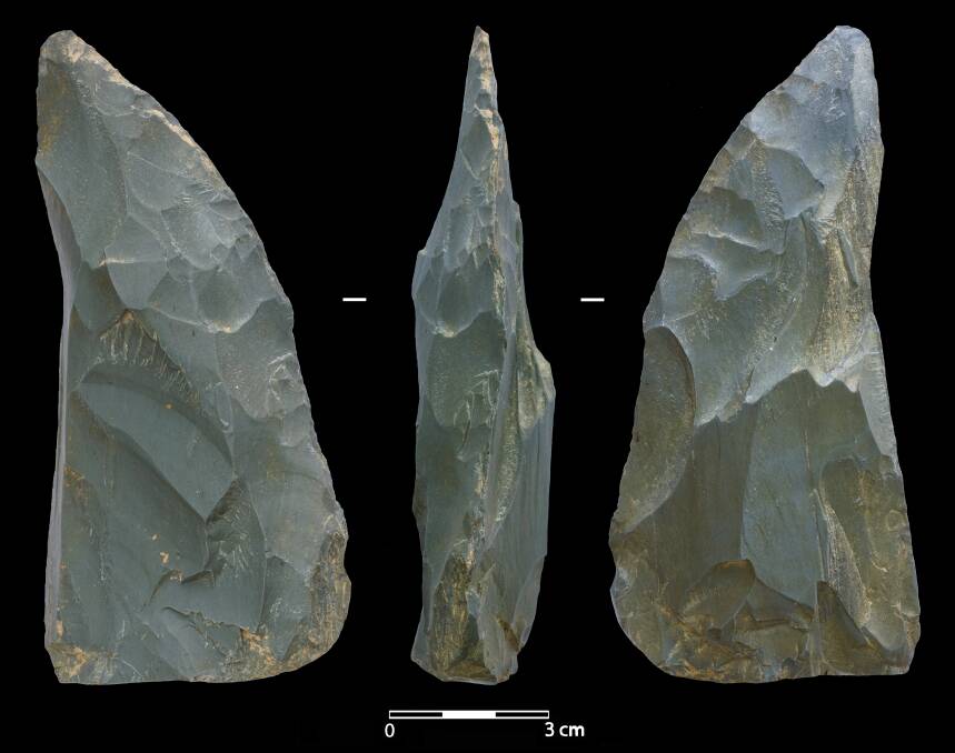 TOOLS: Micoquian stone tool used as a meat knife by Neanderthals at Chagyrskaya Cave about 54,000 years ago. Picture: Alexander Fedorch