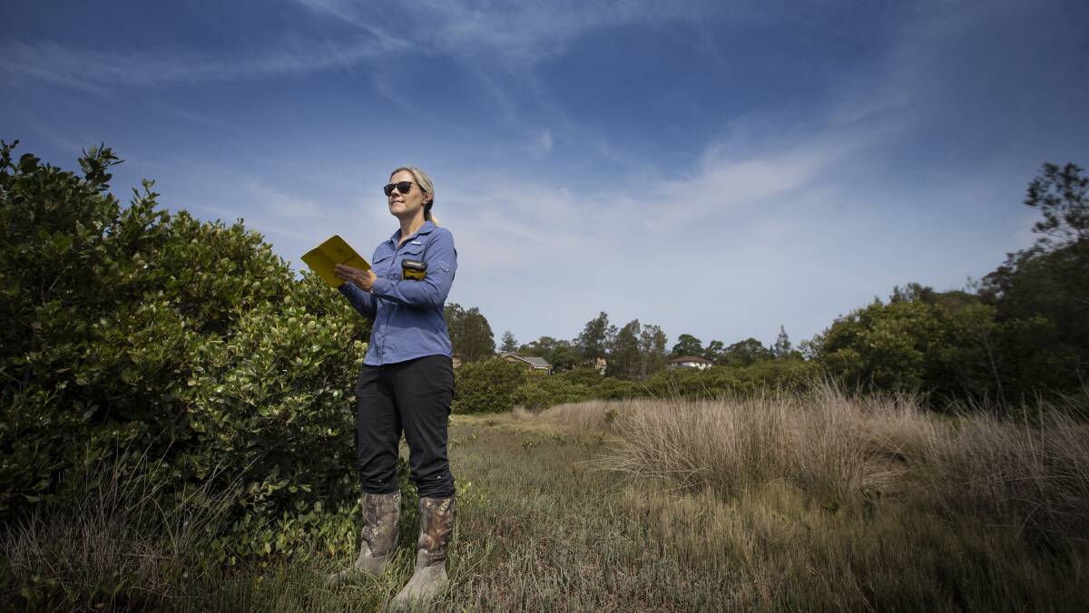 AWARD NOD: Associate Professor Kerrylee Rogers, from UOWs School of Earth, Atmospheric and Life Sciences leads the Blue Carbon Horizons Team which is a 2019 Eureka Prize finalist. 