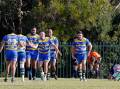 Avondale Wombats Rugby Union Club has pulled out of the Illawarra competition and will not field senior teams in the 2024 season. Picture by Anna Warr
