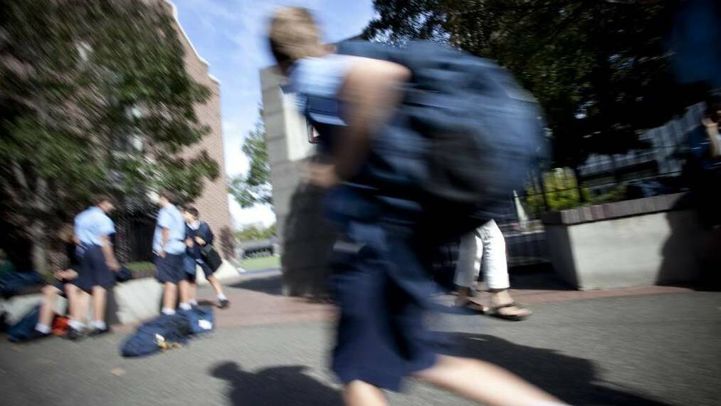Illawarra students set to learn from new 'decluttered' school curriculum