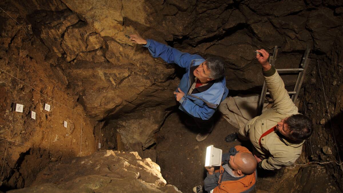 UOW researchers role in uncovering the ancient Denisova Cave mysteries