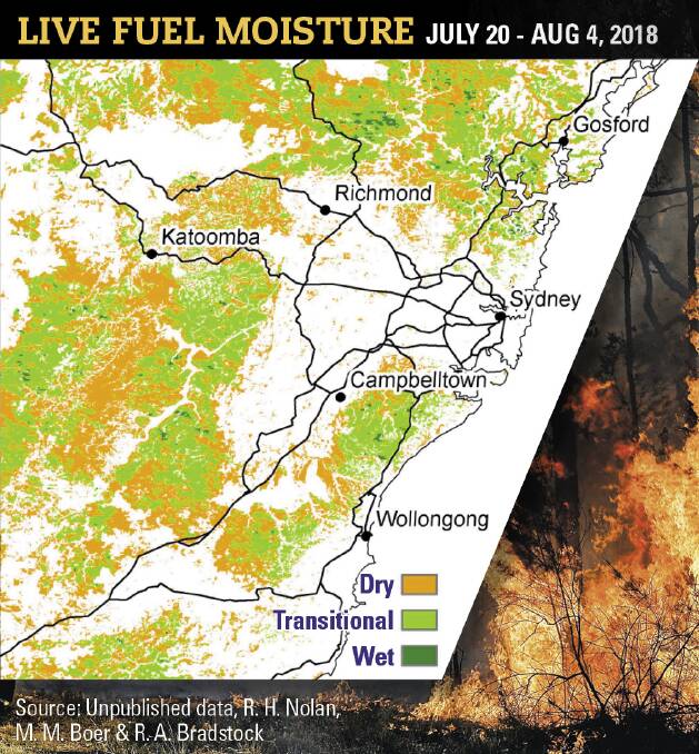 UOW fire expert warns: ‘It’s all bad’, with more dry weather coming