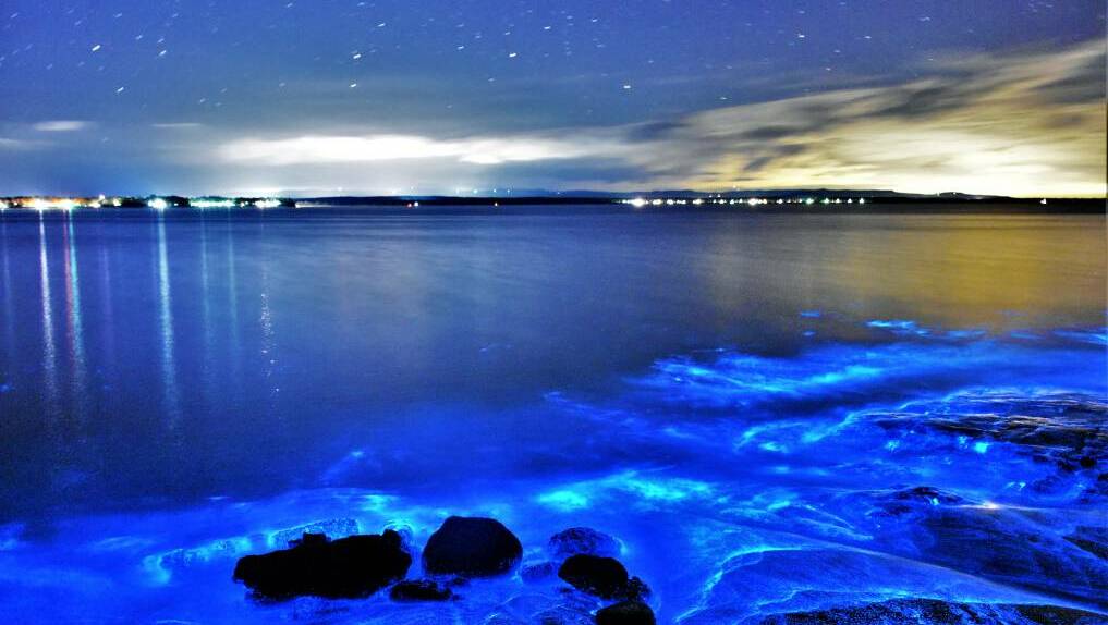 Local photographer Dannie Connolly captured bioluminescence, a natural phenomenon, in Jervis Bay earlier this year. Photo: Dannie and Matt Connolly Photography.