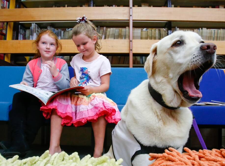 PAWFECT TALE: Kiara Bushnell 7, and Sienna Owers, 5 at Oak Flats library with Jessie the labrador who is taking part in the Paws 'n Tales program. Picture: Adam McLean 