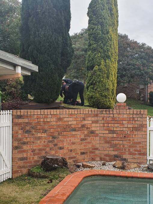 A man being apprehended at Taminga Crescent, Cordeaux Heights. Picture: Supplied