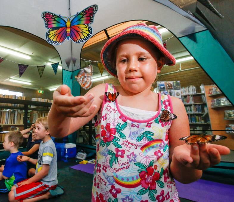 TAKING FLIGHT: Lily Koster, eight, with some orange lace wing butterflies in the ‘Butterfly House Experience’. Picture: Adam McLean 