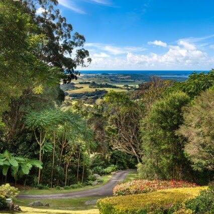 Ex-pats buy $3.5m Jamberoo acreage after video inspections
