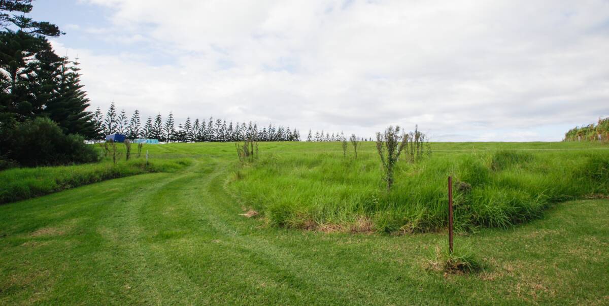 PROPOSAL: Precinct group members, community members and Kiama councillors are expected to address the conference on Robby Ingham's proposed development at his Gerringong property. Picture: Georgia Matts