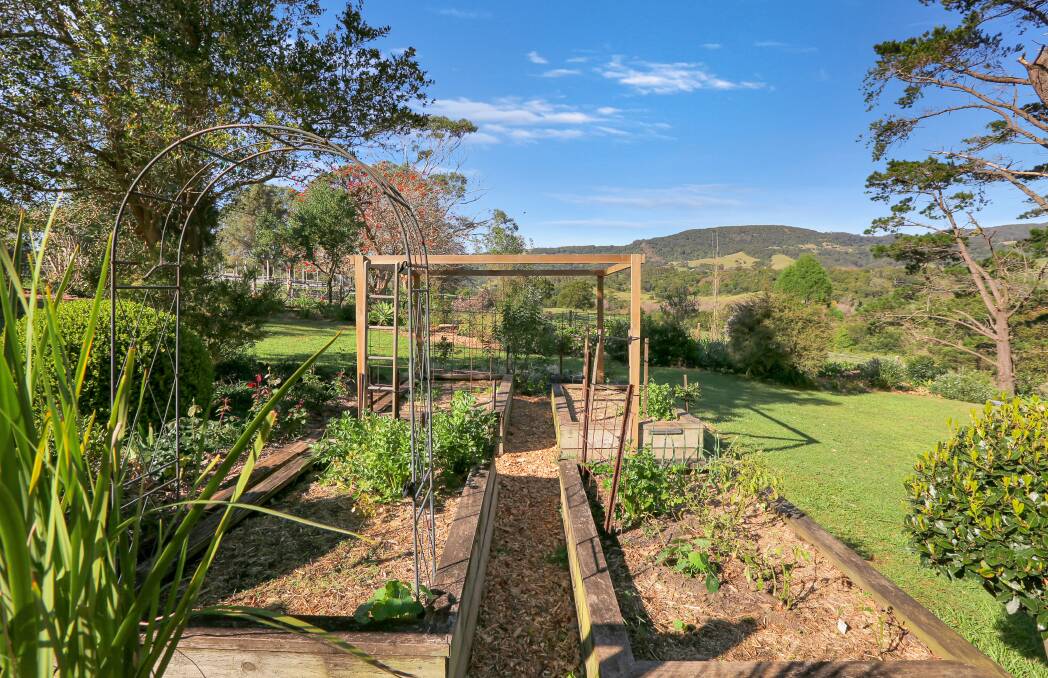 Dreaming of a tree-change? Try this 'green oasis' near Kiama
