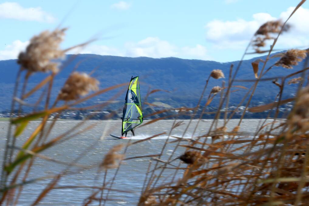 Windsurfers on Lake Illawarra making the most of the strong winds on Saturday. Picture: Sylvia Liber