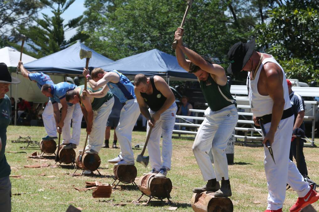 SHOW TIME: Wood-chopping is still a popular competition for Albion Park Show Society, drawing many competitors and spectators. Picture: Robert Peet