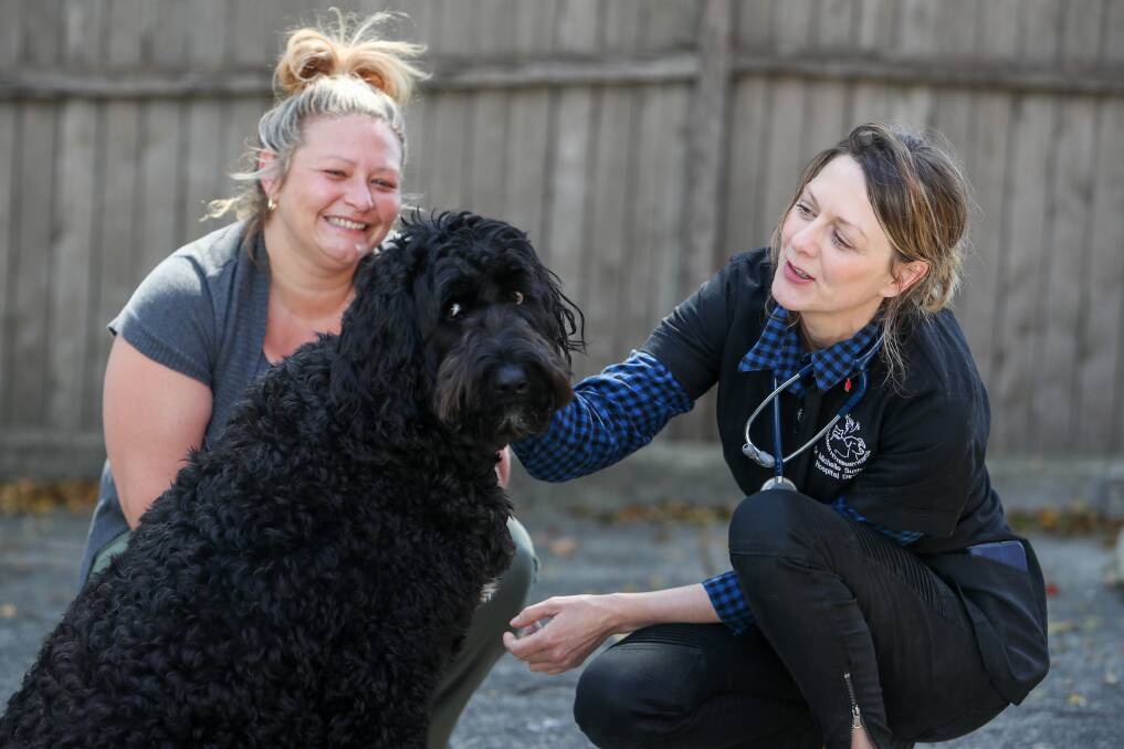 EXPERT HELP: East Corrimal resident Jody Bailey (left) and Dr Michelle Sutherland from Sylvania Veterinary Hospital with Oscar at the Wollongong Homeless Hub on Thursday. Picture: Adam McLean