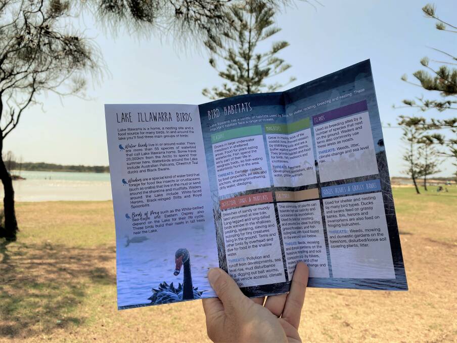 NEW GUIDE: The new Birds of Lake Illawarra brochure includes images of common birds you may see around the lake, and provides information on their preferred habitat.