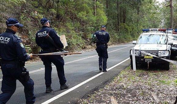 Homicide detectives are investigating the discovery of human remains in the Royal National Park. Pictures: 7News