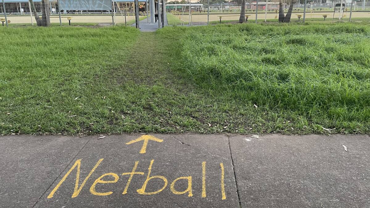A winding path was cut through knee-high grass in Guest Park in late April so that players could reach the asphalt netball courts for practice.