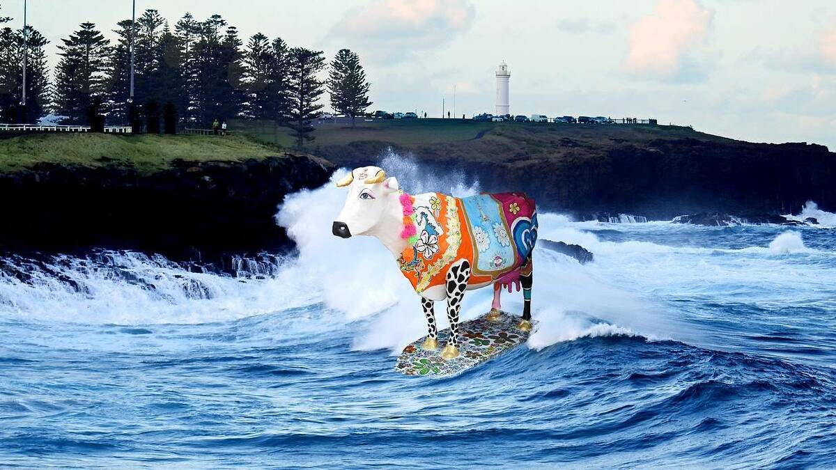 A few years ago the Kiama Community Group ran a competition asking people to submit photos that showed quirky Kiama and members voted for their favourite image. The Surfing Cow was the winner.