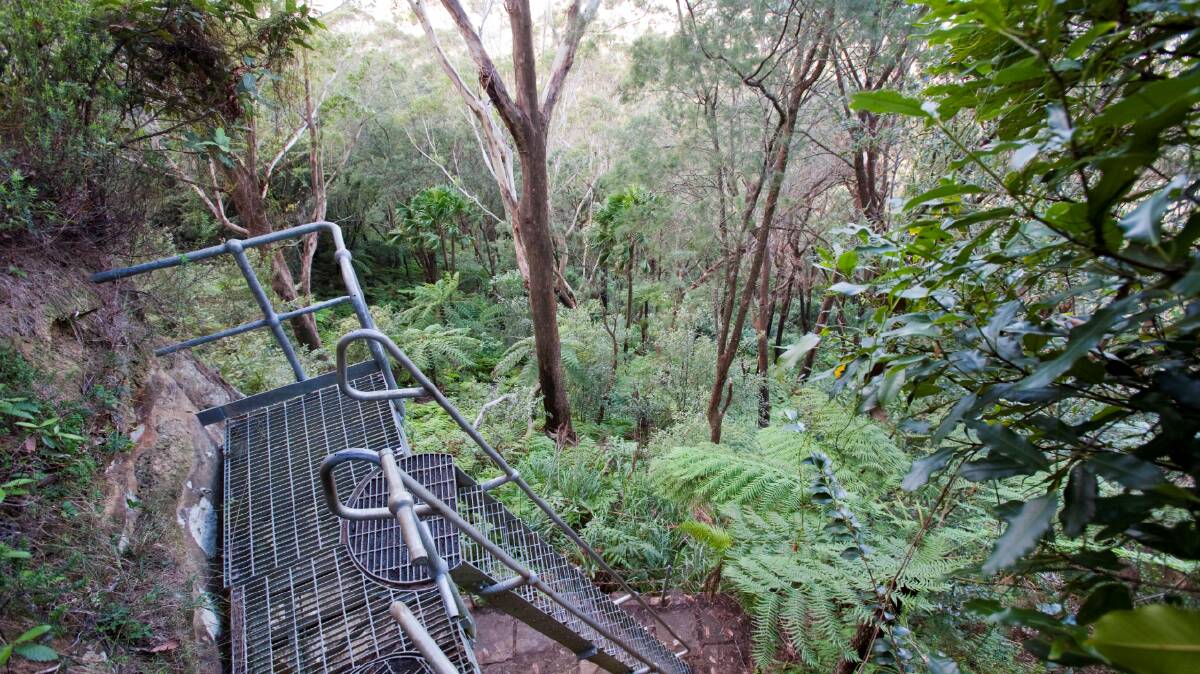 The lush - and steep - Sublime Point walking track is popular with fitness enthusiasts. Picture supplied.