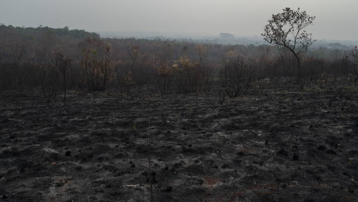 A scorched field is seen in Altamira, Para state, Brazil. Photo: AP