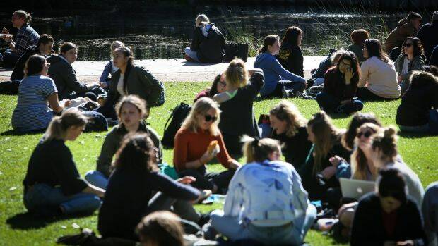 University students will be able to access Youth Allowance faster. Photo: Adam McLean
