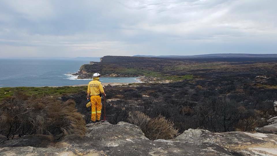 The aftermath of a fire that ripped through bushland in the Royal National Park in January last year. Picture: Bundeena Rural Fire Brigade