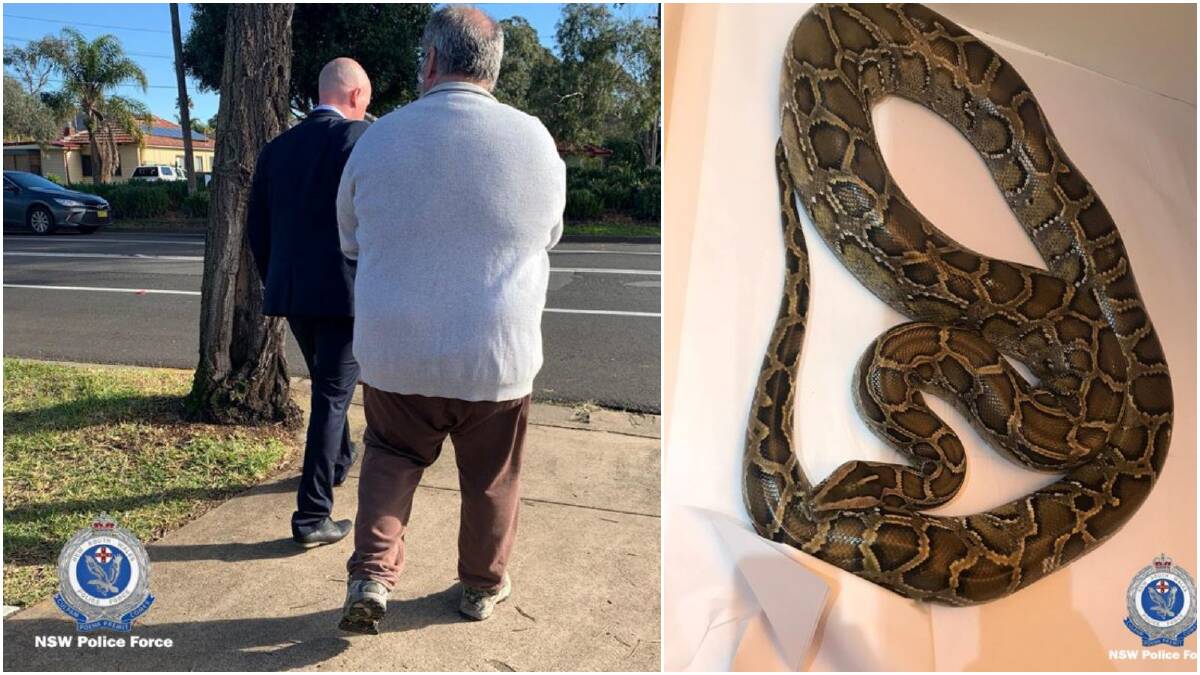 Detectives take a man into custody over the trafficking of exotic and native animals on Wednesday. Photos: NSW Police