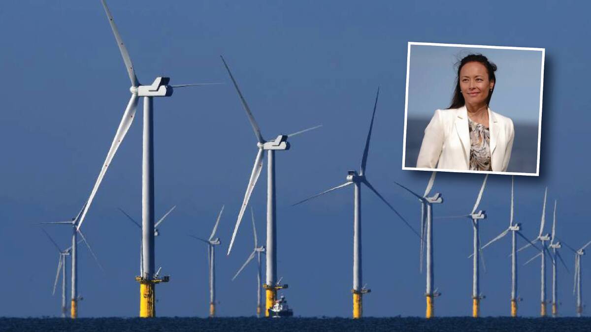 Emily Scivetti (insert) said wind farm developers were planning multiple surveys of offshore ecosystems. Insert picture by Adam McLean, main picture supplied 