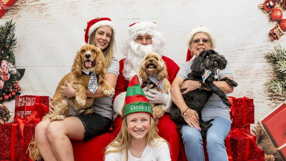 Where to find the cheapest and coolest Santa photos in the Illawarra