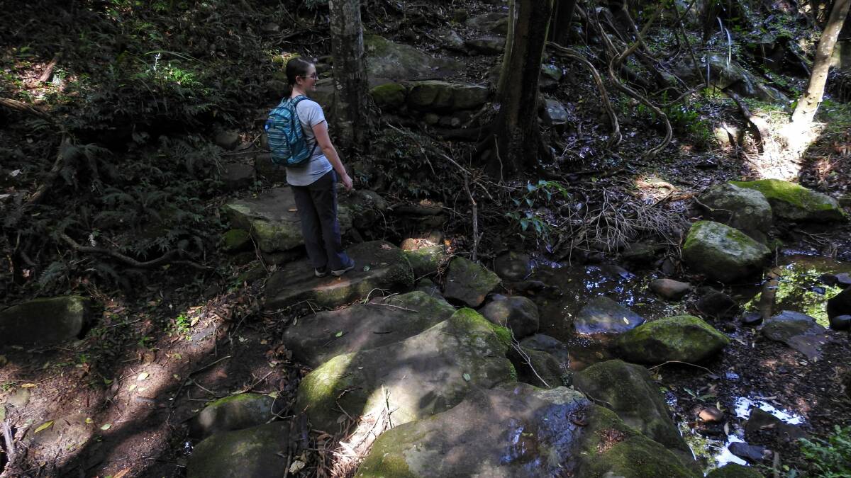 Find a bushwalk within 10km of the Illawarra's suburbs