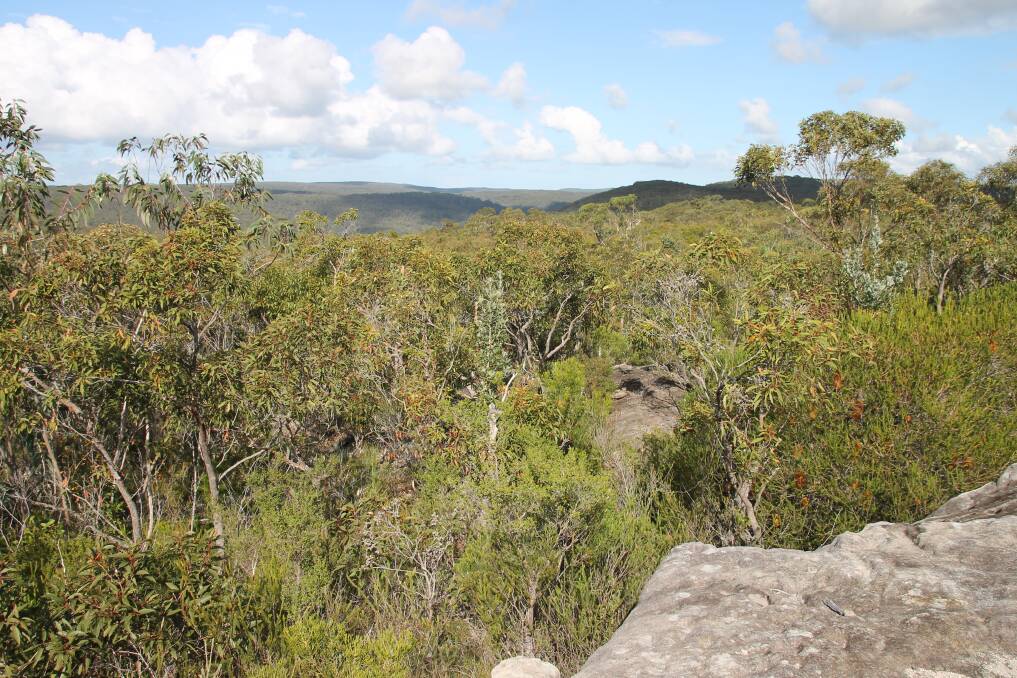 Below: The view west from Uloola Ridge, across the lands which would be affected by the road proposal. Picture: Brian Everingham.