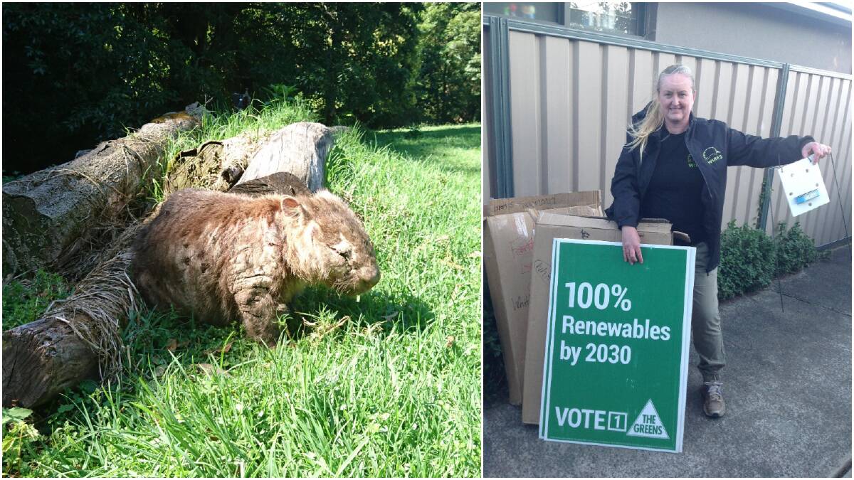 WIRES Illawarra volunteer Rebecca Daly with donated election signs and a wombat flap. Picture:Supplied