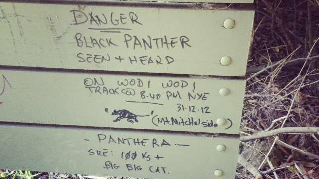 Farewell to the Illawarra's black panther