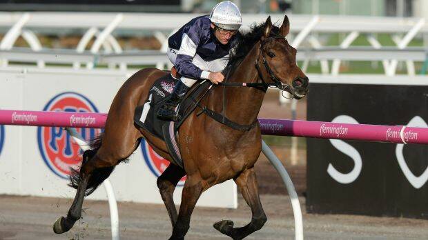 Damien Oliver rides Almandin to victory in the Japan Racing Association Trophy at Flemington. The horse is again highly fancied to win the Melbourne Cup.  Photo: AAP
