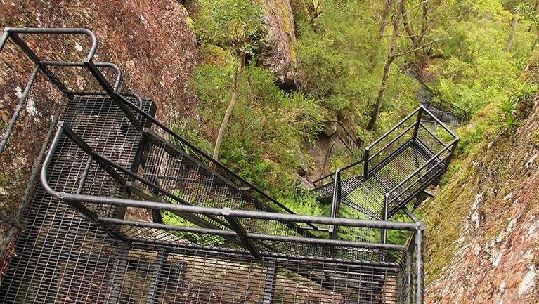 A series of ladders will lead you to the summit at the top of Didthul walking track on Pigeon House Mountain. Photo: Visit NSW 